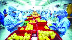 Grasping the green transformation trend - A survival opportunity for Vietnamese Enterprises