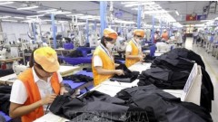 European businesses confident in Vietnam’s economic prospects: report