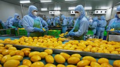 Fruit and vegetable industry aims for $10 billion in exports by 2030