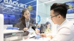 Insurance market claims strong recovery in Vietnam