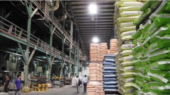 Import tax inconsistency creates headaches for Vietnam’s animal feed sector