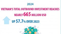 2024: Vietnam's outbound investment rises by 57.7%