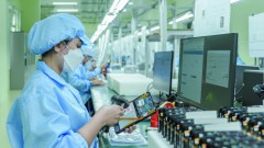 Digital Transformation: Catalyst for Comprehensive Development