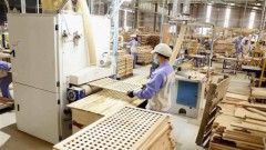 Positive outlook for wood product exports after roaring success in 2024