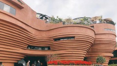 Creating a Breakthrough for&nbsp;Vietnam Tourism in 2025