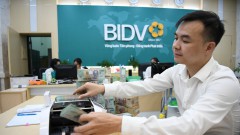 Lending rates could remain stable in 2025