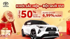 Vietnam's automobile industry to face multiple challenges in 2025