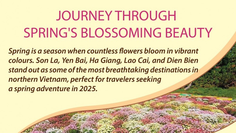 Journey through spring&#039;s blossoming beauty