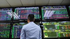Stock market expected to rebound positively after Tết holiday: expert
