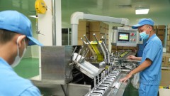 Vietnamese products reach out to more markets globally