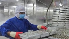 Businesses advised to expand exports to EU via official channels