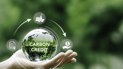 Opportunities for&nbsp;businesses in the carbon credit market
