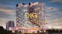 How does DIG operate under the new leadership?