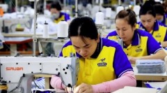 Sustainable fashion presents promising niche market for&nbsp;textile manufacturers