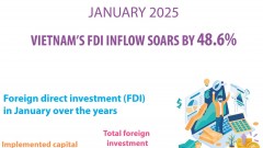 Vietnam's FDI inflow soars by 48.6% in January