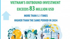 Vietnam’s overseas investment surges 5.1 times in Jan. 2025