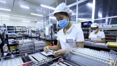 Business regulations must be trimmed for development of enterprises: Experts
