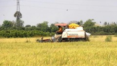 Conference looks to lure hi-tech investment in low-emission rice cultivation