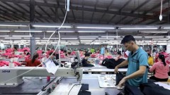 Rapid diversification of export markets crucial for growth: Insiders