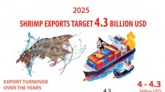 Shrimp exports target 4.3 billion USD in 2025