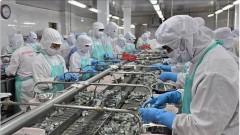 Vietnam’s aquatic exports poised to hit 11 billion USD landmark