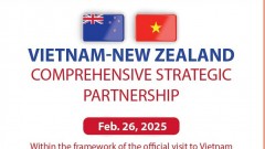 Vietnam-New Zealand Comprehensive Strategic Partnership