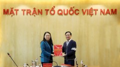 Mr. Pham Tan Cong assigned as Secretary of the VCCI’s Party Committee