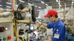 Vietnam hailed as economic development model amid global uncertainties