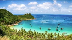 Vietnam sees opportunities to become regional cruise tourism hub