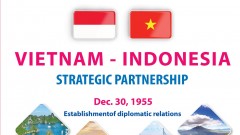 Vietnam - Indonesia Strategic Partnership