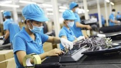 Measures needed to boost business optimism: VCCI