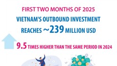Vietnam’s outbound investment increases by 9.5 times in two months
