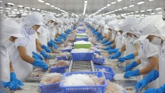 VHC to face many challenges