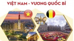 VCCI to Host Vietnam-Belgium Dialogue on Sustainable Development and Innovation