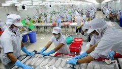 Vietnam works to overcome US seafood export barriers