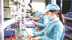 SMEs need support policies: insiders