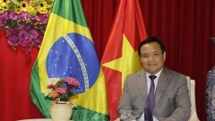 Brazilian President's state visit to boost bilateral strategic partnership