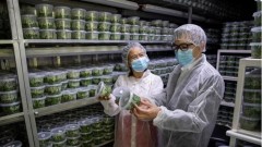 Israel’s agritech expected to help Vietnam increase agricultural productivity, quality