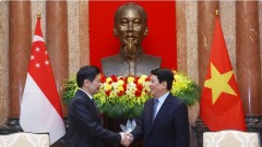 Vietnam treasures relations with Singapore: State President