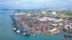 Navigating Opportunities and Risks in U.S.-China Trade War