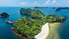 Cat Ba – A fresh favorite with a familiar charm