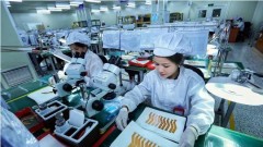 Foreign investment attraction flourishes on better business climate