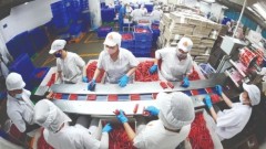 Vietnam’s economic leap transforms nation from post-war crisis to global player