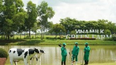 Intellectual property protection key to market success