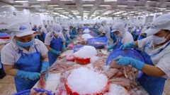 Vietnam takes swift, proactive actions in response to new US tariff policy