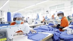 Export strategies aim to overcome global economic headwinds