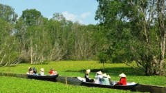 Vietnam aims for double-digit economic growth with tourism boost