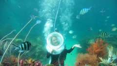 This Island Helped Vietnam ranked among Asia’s Top Diving Destinations