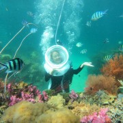 This Island Helped Vietnam ranked among Asia’s Top Diving Destinations