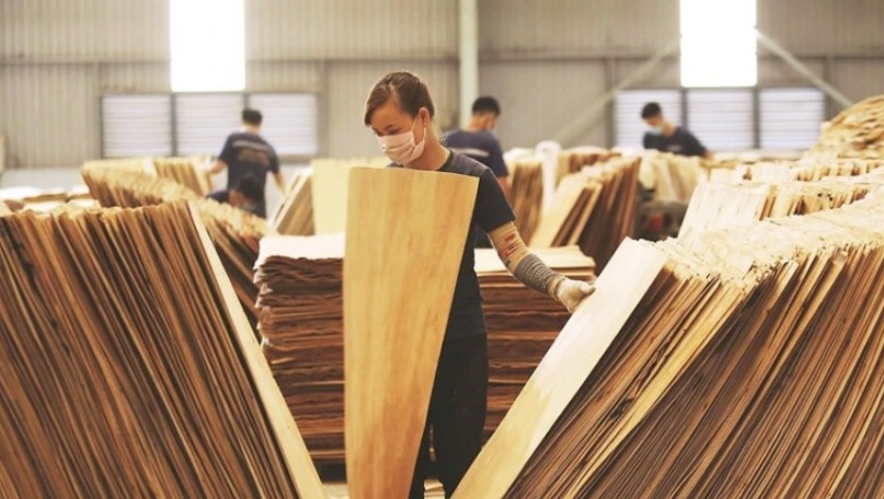 Breakthrough measures needed for 18 billion USD wood export goal
